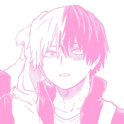 Shoto Todoroki