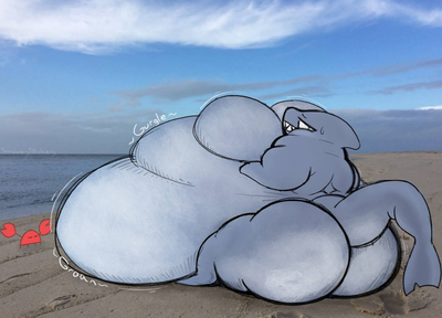 “Beached... shark? It looks like a whale” not TF