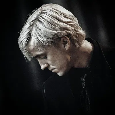 Draco L. Malfoy
