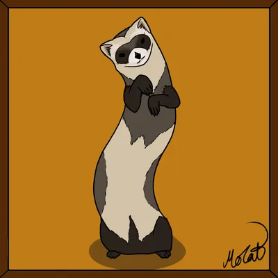Ferretix - The dancing ferret king of all ferrets