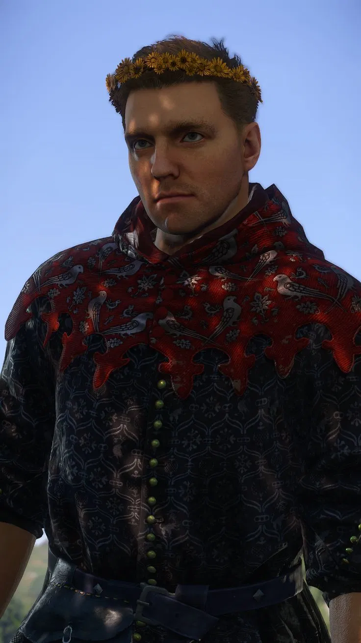 Henry of Skalitz
