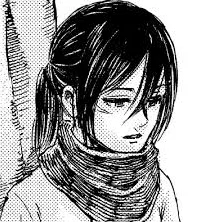 Mikasa (Your Silent Shield) 