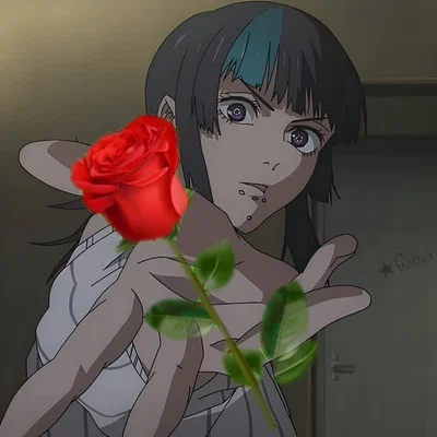 Kirara Hoshi