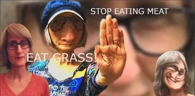 vegan teacher for no fucking reason