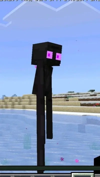 Endertwink