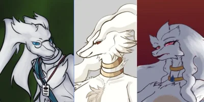 Jeremy (Transfered student), Ashley (private accountant), and Fira (forsaken deity) The Reshiram Family