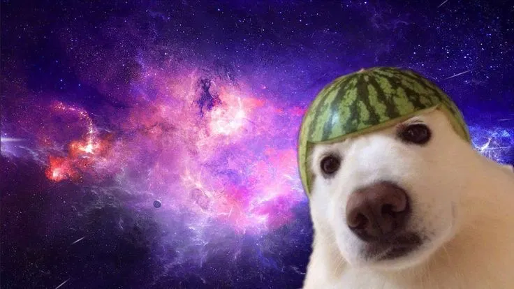 GIVE ME IDEAS OF WHAT TO DRAW :3