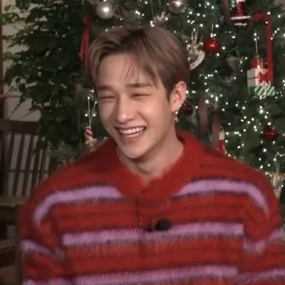 Bang Chan 