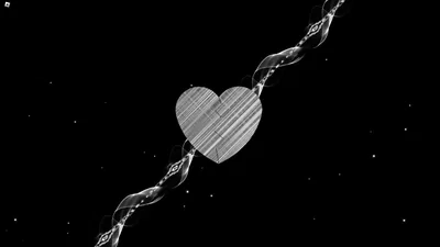 Ω⭗Tonight You Belong to Me⭗Ω