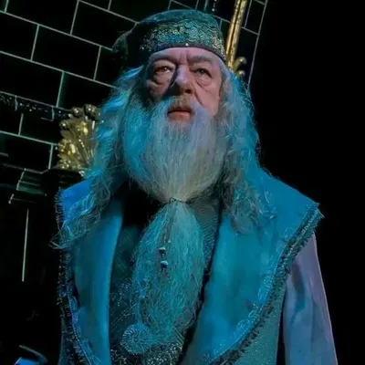 Albus Dumbledore 