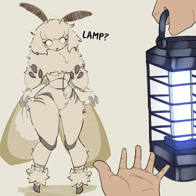 Moth girl TF
