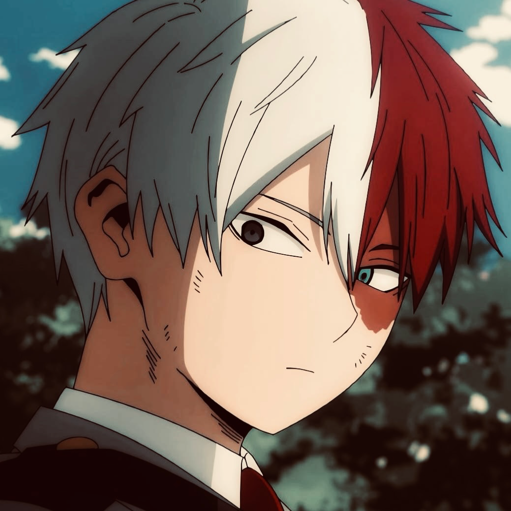 ⋮ ⌗┆Todoroki Shoto ⋆ ̊࿔