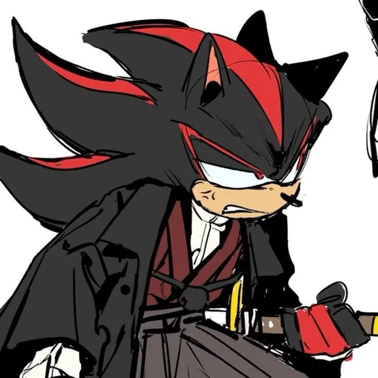 Shadow The Hedgehog