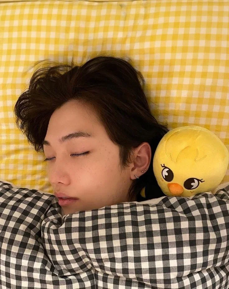 🐥‧+ ̊✩Feliメ‧+ ̊✩ 🐣