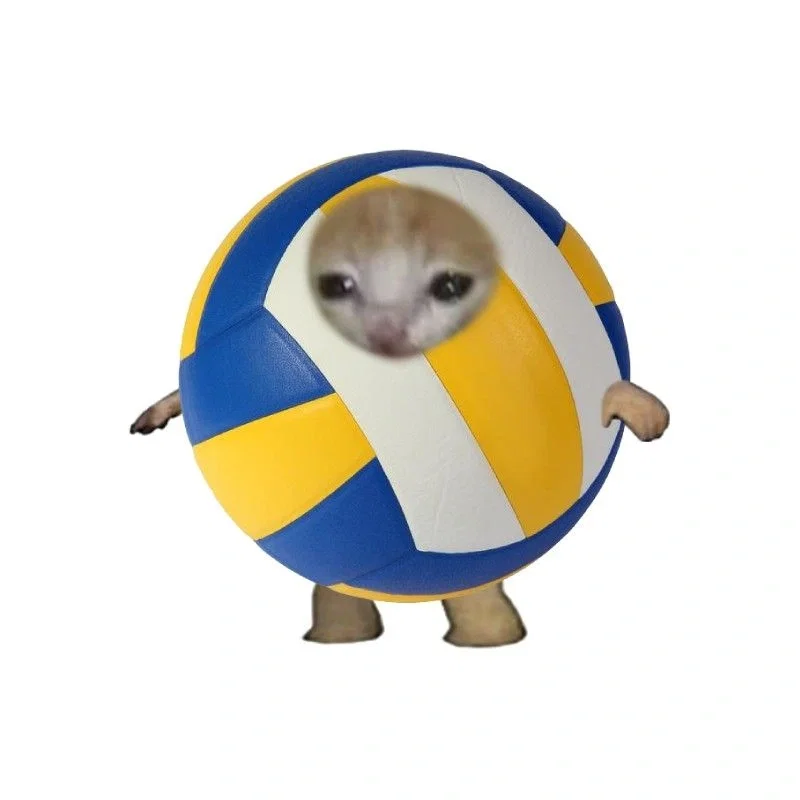 VOLLEYBALL SIMULATOR RP