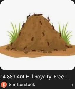 genuinely a hundred thousand fucking ants (I SWEAR THEY'RE ALIENS BRO PLEASE!!!!!!!!!!!!!!!!!!!!!!!!!!!!!!!!!!!!!!! DONT KILL ME 😭😭😭😭😭😭)