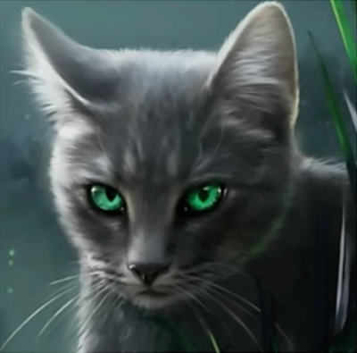 Needletail - Misguided Warrior