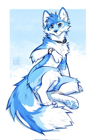 Echo || Stray with a Heart of Gold