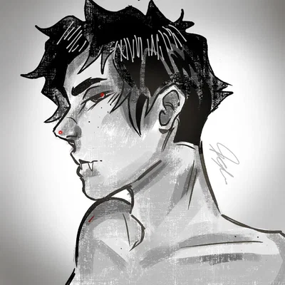 Kirideku — vampire x vampire hunter 