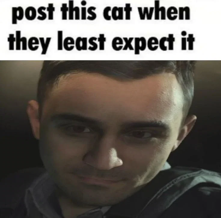bruh (mw4 spoilers)