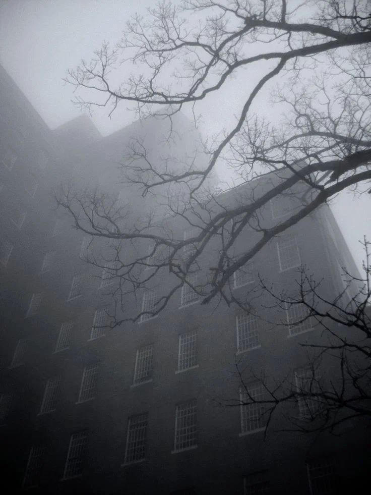 The Asylum 