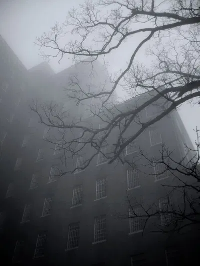 The Asylum 