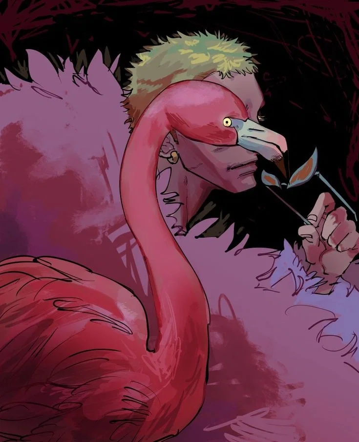 Donquixote Doflamingo