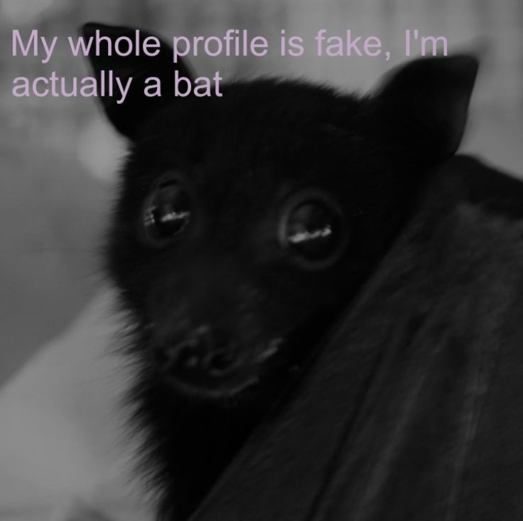 Not a bot, just need ideas