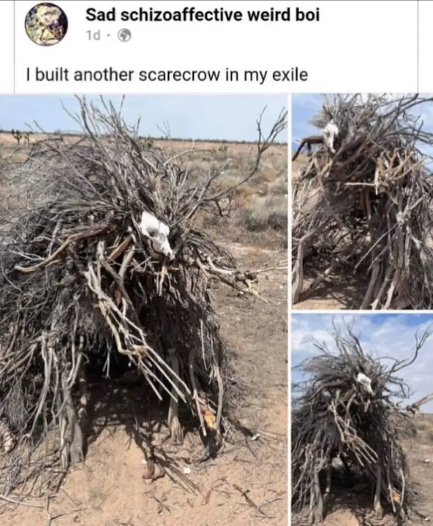 I have a bot idea