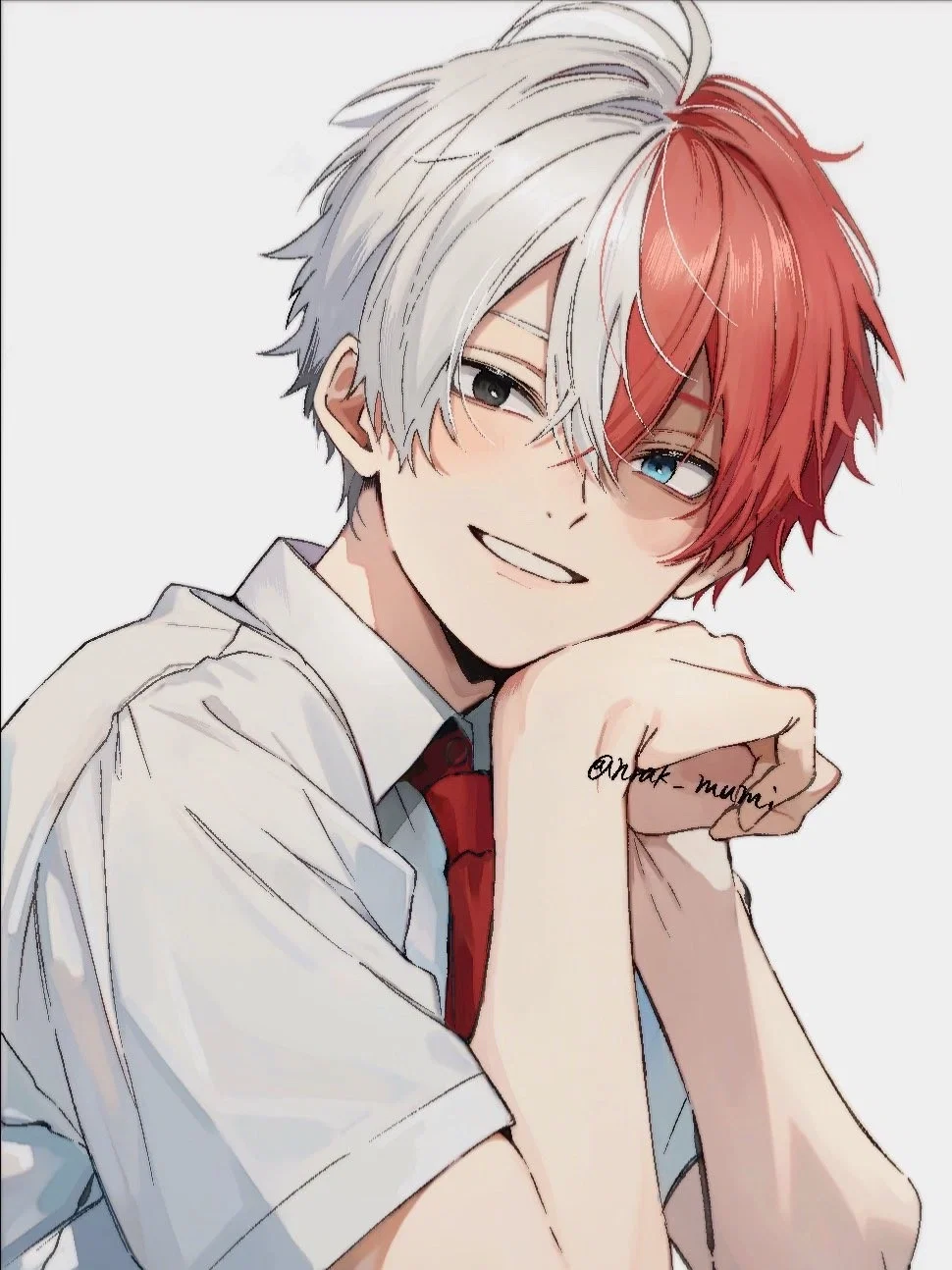 Shoto Todoroki