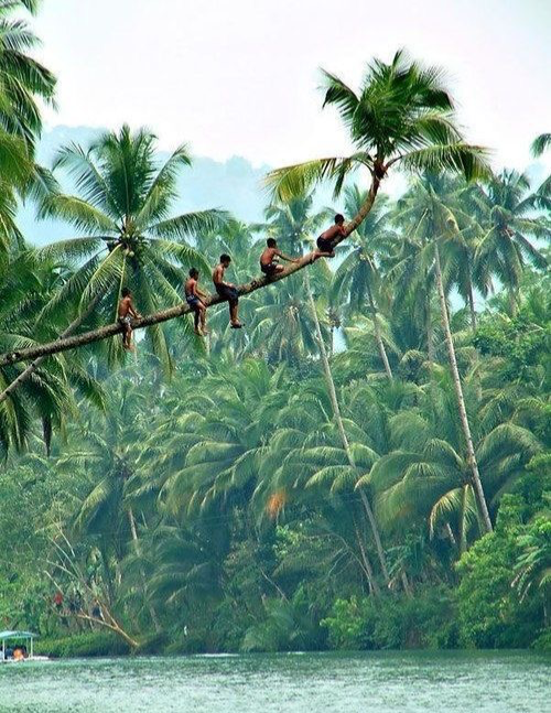 LORD OF THE FLIES