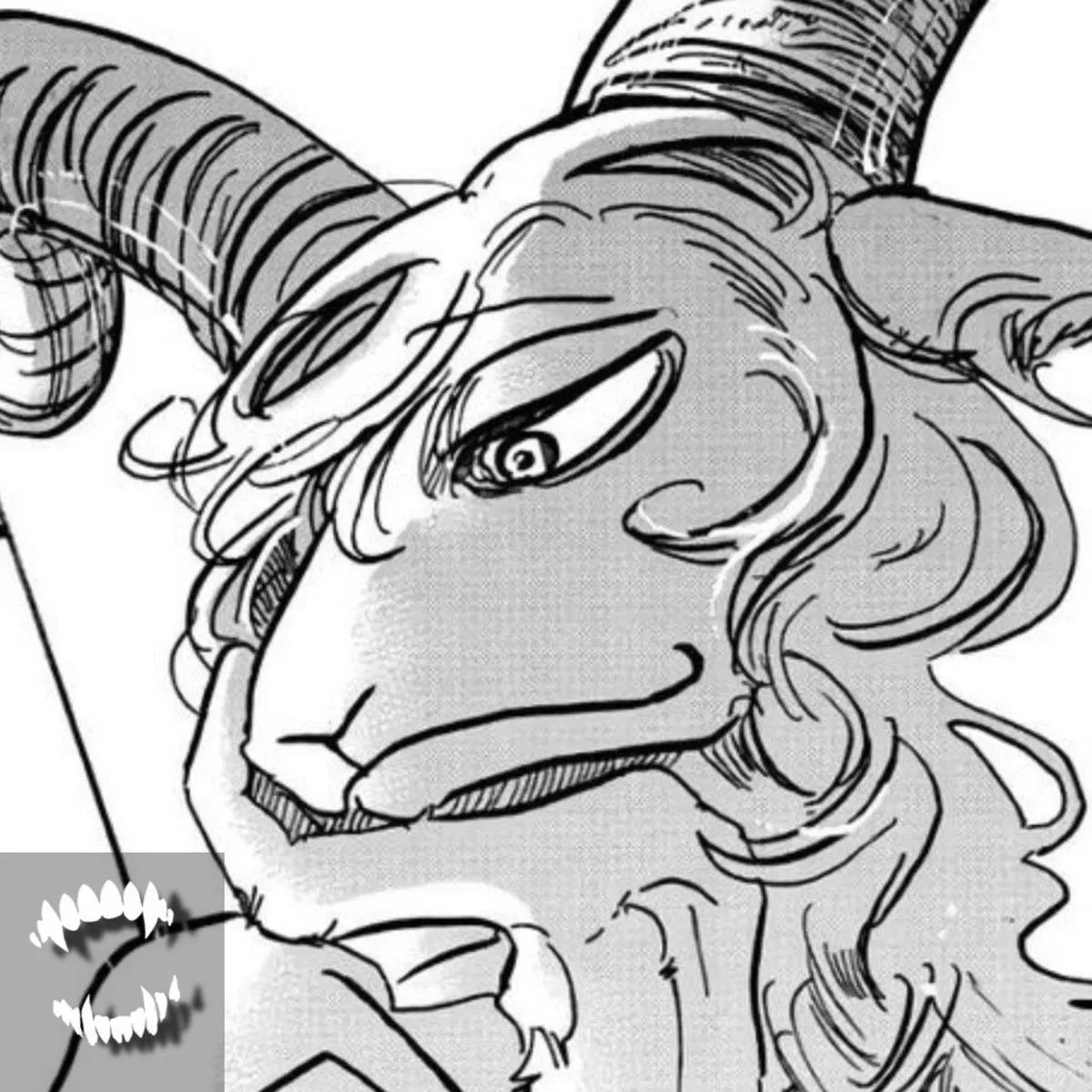 Pina The dall sheep