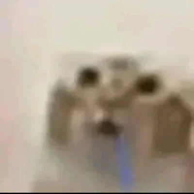 request a bot