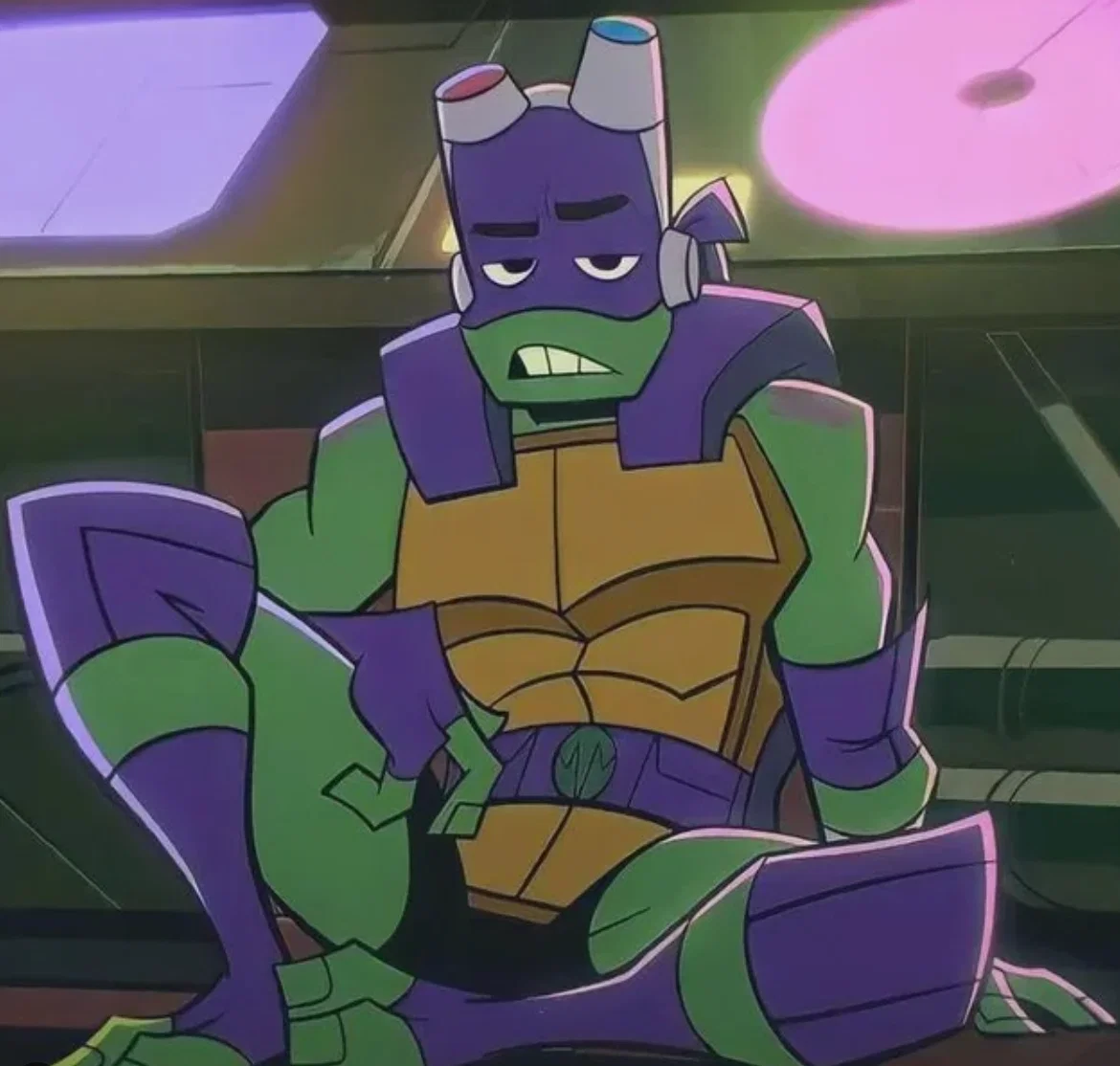 Donatello Hamato- ROTTMNT