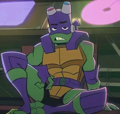 Donatello Hamato- ROTTMNT