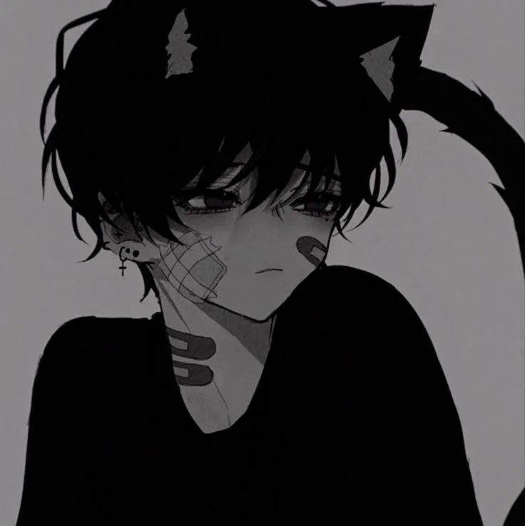 Kai- The abandoned stray