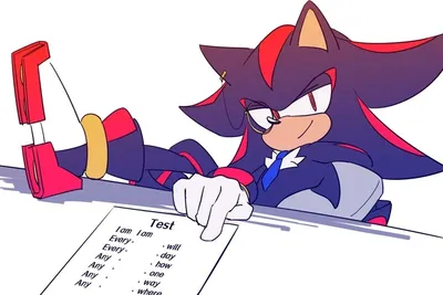 Shadow teacher