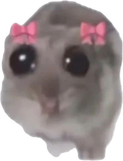 HOLY SHIT DECEMBER ALREADY??? 