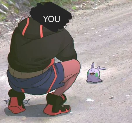 You encounter... a wild Goomy?..