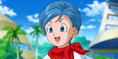 Bulma Briefs | Your adoptive mother 