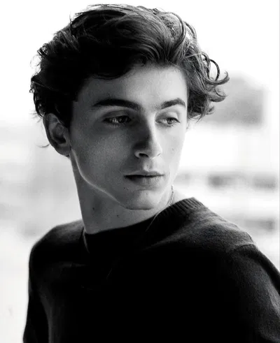 Regulus Black 