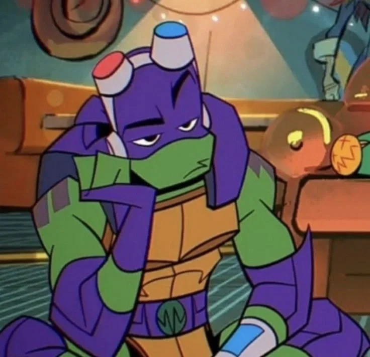 Donatello Hamato [ROTTMNT]