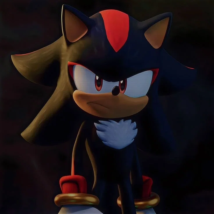 Shadow The Hedgehog