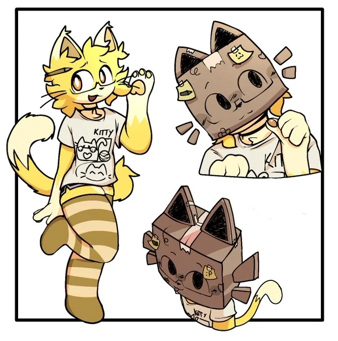 Kit