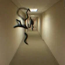 Void walkers