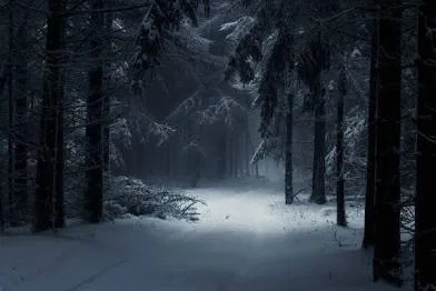 The Snowy Forest (Remade)