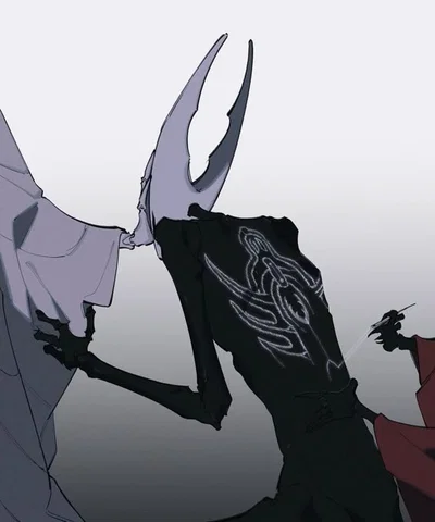 Hollow knight / Pure vessel