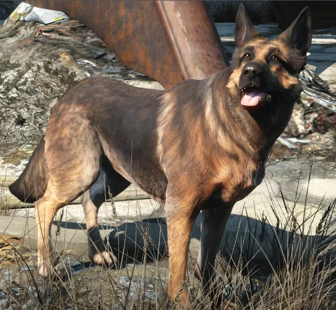 Dogmeat