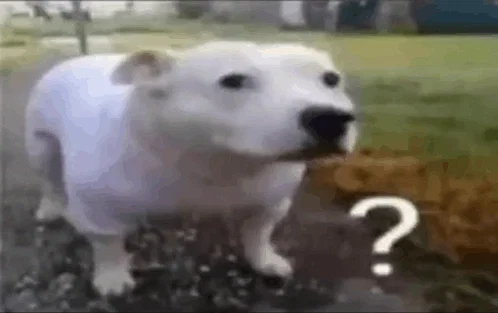 Help
