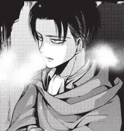 AOT - Levi Ackerman 